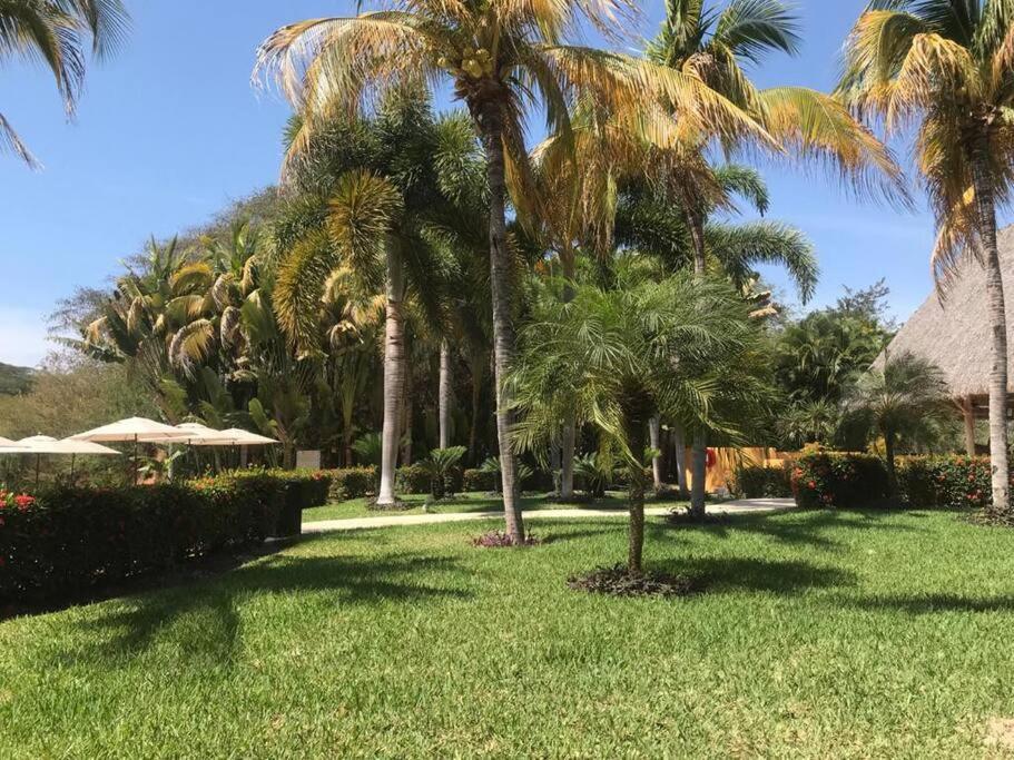 Departamento Y Playa Con Servicios Grand Luxe * La Cruz de Huanacaxtle
